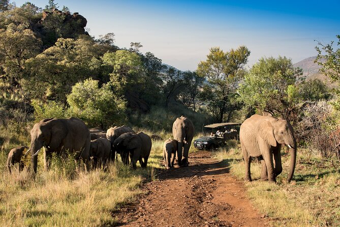 2 Day Pilanesberg Camping Safari - Arriving at Tlou Tented Safari Camp: the camping part, done thoughtfully