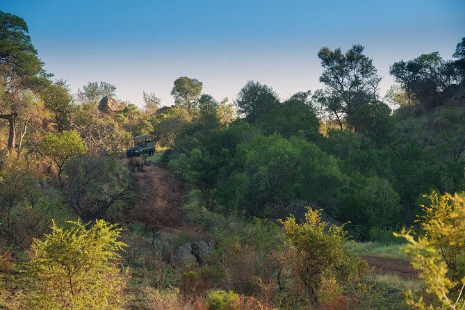 2 Day Pilanesberg Camping Safari - Rangers and guides: what to expect from the human side