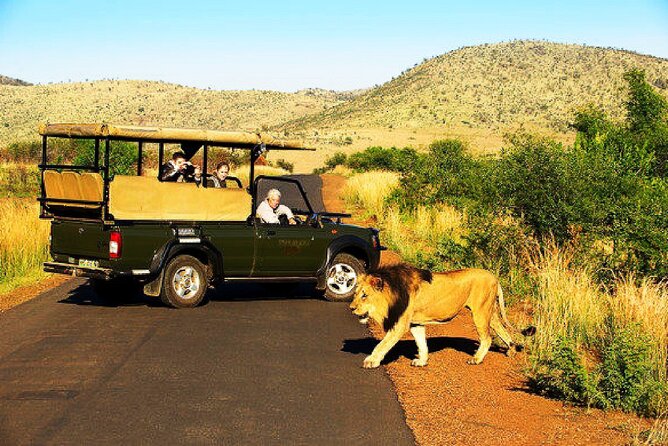 2 Day Pilanesberg national park Guided Tour - Pretoria pickup and the 2 hour drive into the park