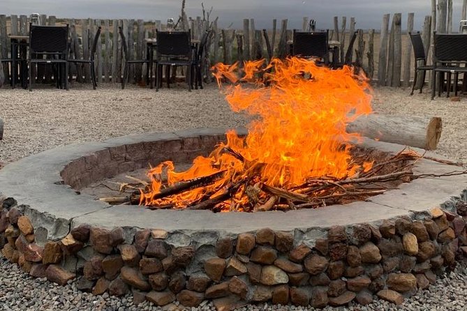 2 Day Safari Experience from Cape Town - Why this 2-day safari feels different than a day trip