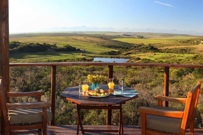 2 Day Safari Experience from Cape Town - Day 2: morning game drive, then Hermanus and penguins