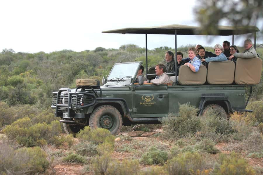 2 Day Small Group Cape Town: Garden Route Big 5 Safari Tour - Who this tour is best for, and who should look elsewhere