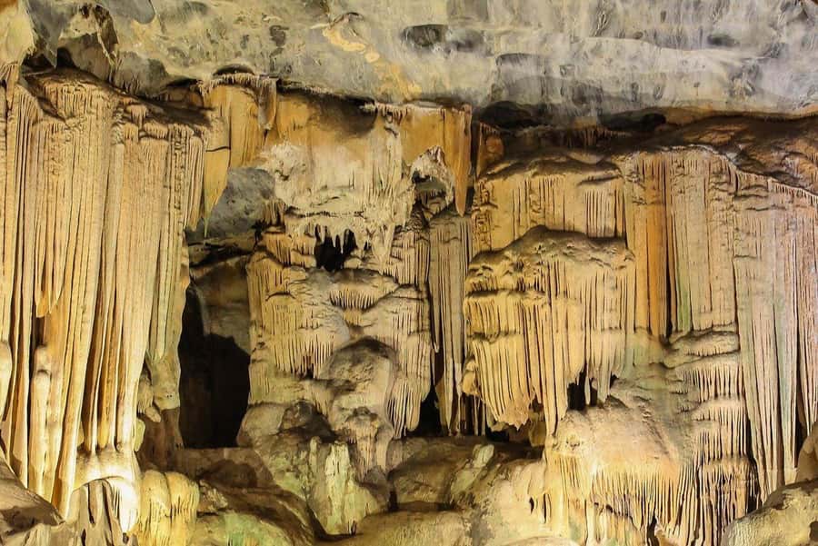 2 Day Small Group Cape Town: Garden Route Big 5 Safari Tour - From Cape Town pickup to the Garden Route pace you’ll feel fast