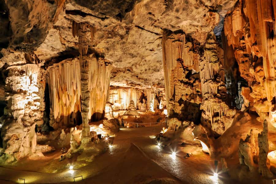 2 Day Small Group Cape Town: Garden Route Big 5 Safari Tour - Oudtshoorn to Buffelsdrift: afternoon bush time with an easy lunch plan