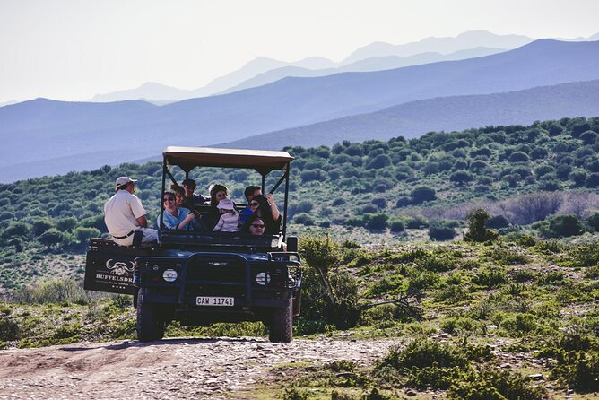 2 Day Small Group Garden Route Big 5 Safari Tour from Cape Town - Small Group Safari Energy, Shared Vehicle Reality