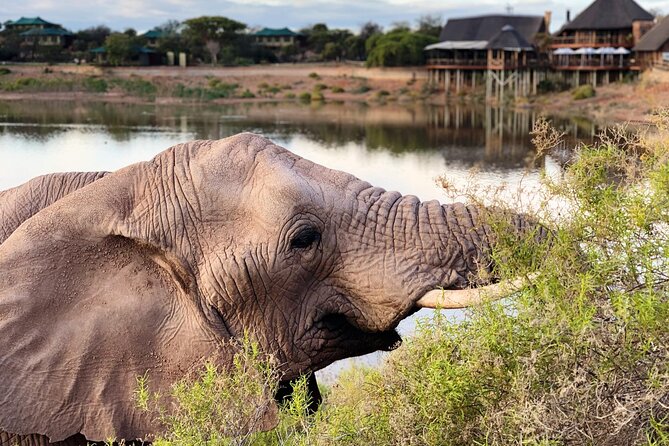 2 Day Small Group Garden Route Big 5 Safari Tour from Cape Town - Price and Value: Is $1,436.80 a Smart Deal?