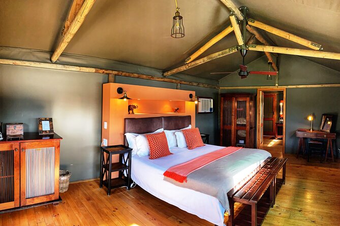 2 Day South African Wildlife Tour with 4x4 Safari from Cape Town - What You Pay, and Why It Feels Like Value