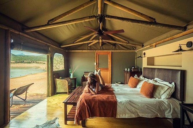 2 Day Wild Heart Western Cape Safari Tour with Private Transfers - Oudtshoorn Evening: Your Overnight Base and Dinner Choices