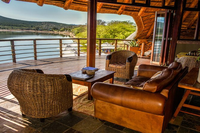 2 Day Wild Heart Western Cape Safari Tour with Private Transfers - The Route 62 Return: Scenic Road Time Into Cape Town