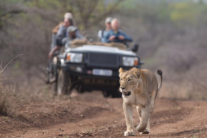 2 Day Zulu Safari Adventure from Durban - Manyoni Private Game Reserve drive: where your guide can make the difference