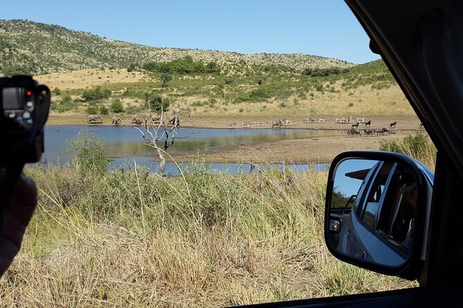 2-Days Pilanesberg best chance to view "Big 5" with private extended safari - Meals included: where the value really shows up