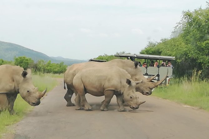 2 Days Pilanesberg Safari 4 star lodge - Price and value: what you really get for $570.14 per person