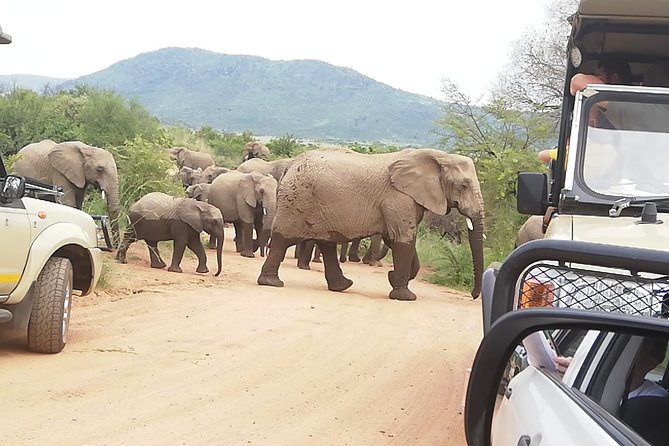 2 Days Pilanesberg Safari 4 star lodge - The 4-star lodge and meals that keep the trip from feeling rushed