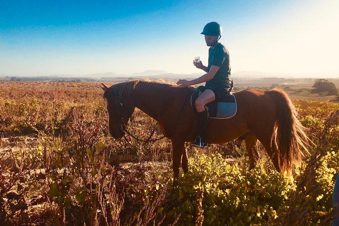 2 Hour Vineyard Trail Ride - Stop 1: Vredenheim Big Cats Park, Quick Look and Extra Ticket Cost