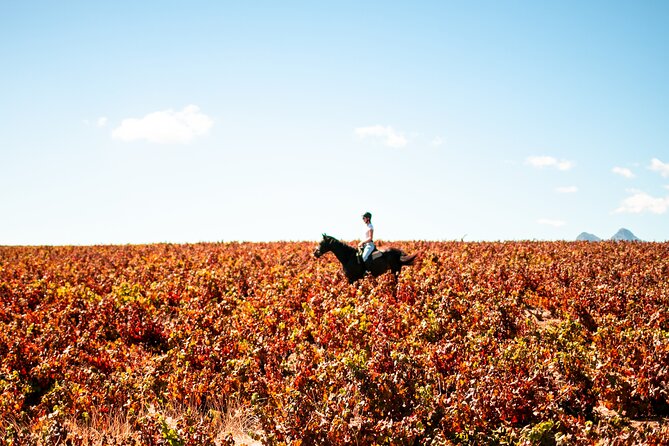 2 Hour Vineyard Trail Ride - Stop 2: Vredenheim Winery Time, Gardens That You Can Actually Enjoy