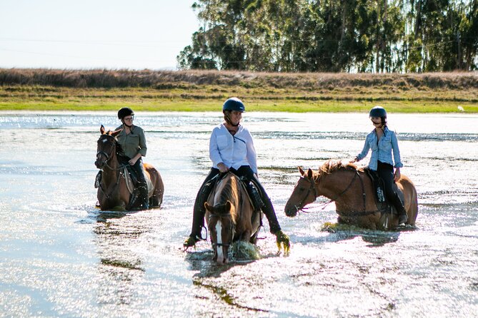 2 Hour Vineyard Trail Ride - Riding Past Table Mountain Views, With Farm Trails and Wildlife Hints