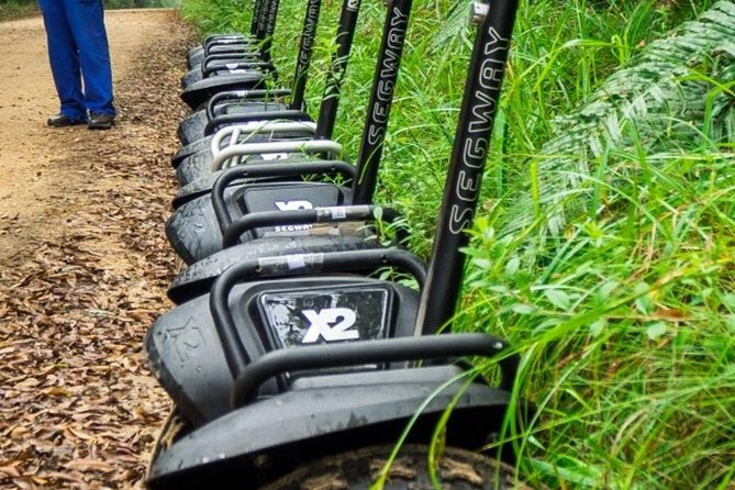 2 Hours Segway Experience in Stormsriver Village - Pine Forest and Indigenous Forest Routes: What You’re Riding Through