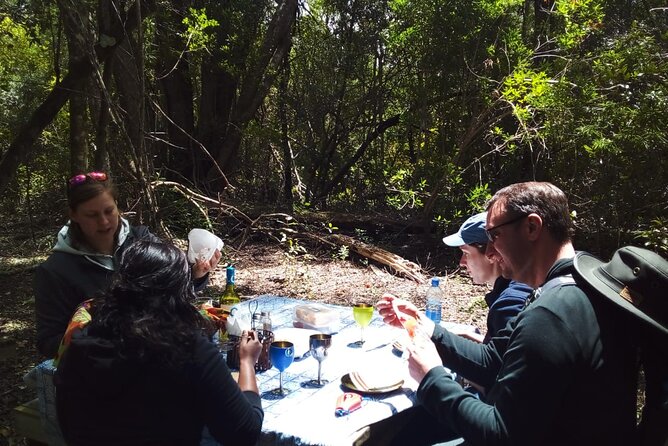 2 Night Tenikwa Experience - Picnic lunch in the forest, then a guided tour of the centre