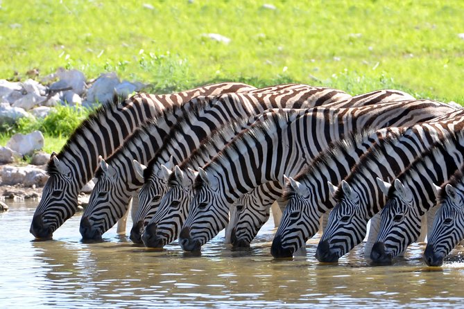 2-Nights 5-star Sanbona Game Reserve with private transfers to and from Sanbona - Key highlights you should know before you go