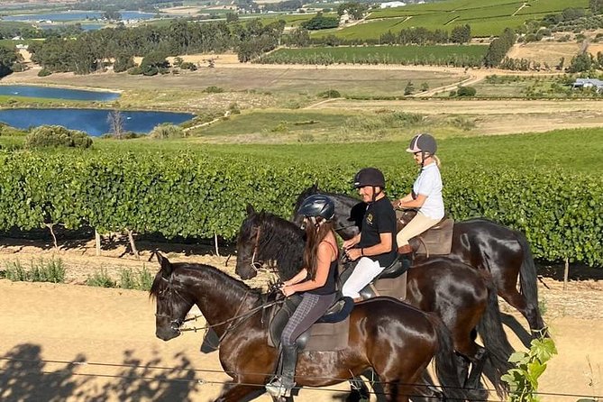 2h – Horse Trail - Key highlights to know before you mount up
