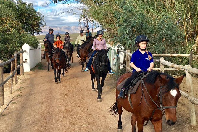 2h – Horse Trail - Horses that are trained for people, and people for horses