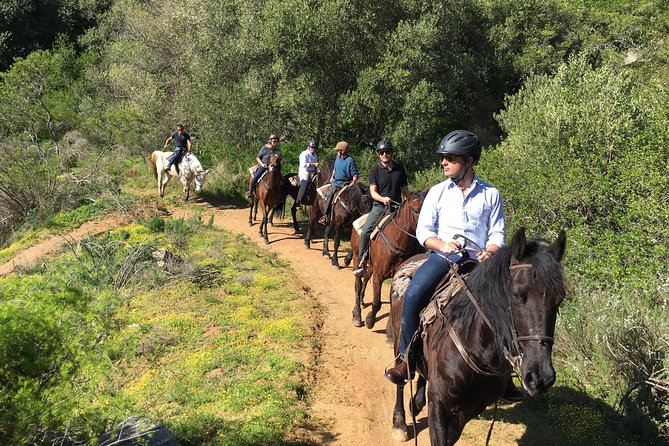 2h – Horse Trail - What to wear, and what to bring so you are comfortable