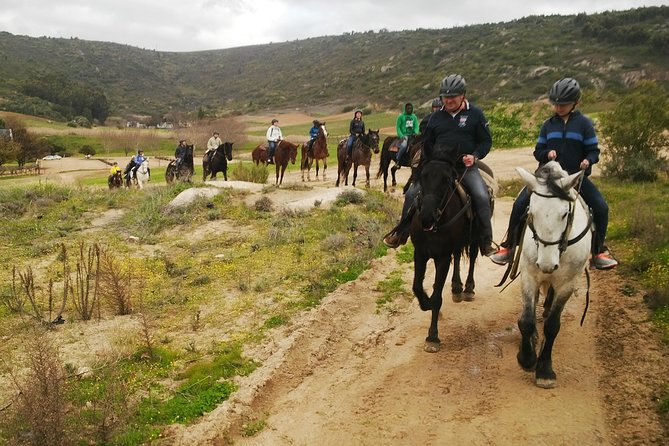 2h – Horse Trail - Price and value, and what is included in that $142.40