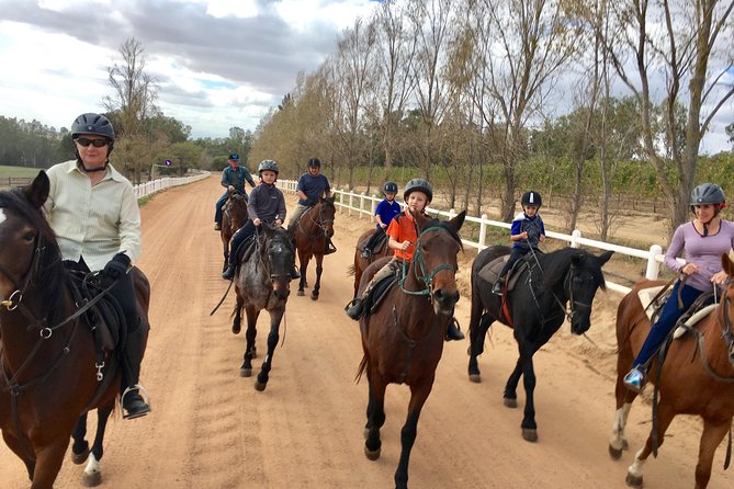 2h – Horse Trail - How group riding works when levels mix