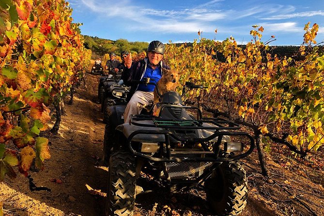2h – Nature Quad Trail - Quad biking the Cape Winelands, with Du Toit’s Kloof as your backdrop