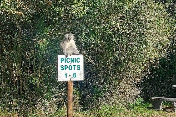 2hr Guided Game Drive at 10h00; Kragga Kamma Game Park Ticket - Price and value: why $28.18 can still feel fair