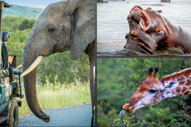3 Day 2 Night Hluhluwe, St Lucia, Isimangaliso Tour - Key highlights to know before you go