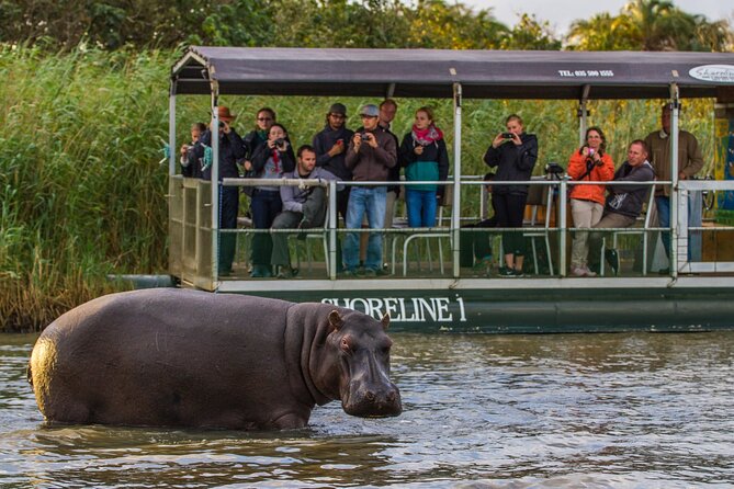 3 Day 2 Night Hluhluwe, St Lucia, Isimangaliso Tour - Where this St Lucia safari really delivers