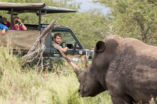 3 Day 2 Night Hluhluwe, St Lucia, Isimangaliso Tour - The Hluhluwe Big Five day: an early 5:00am start that pays