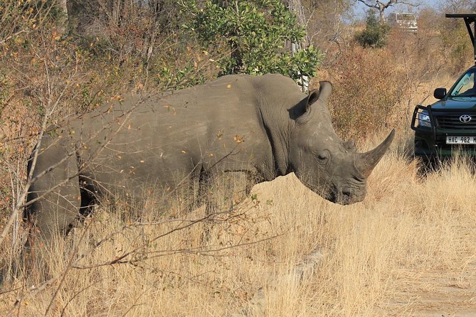 3 Day All Incl. Private Kruger Park Safari Incl. Transfer From Johannesburg - Key things to know before you go