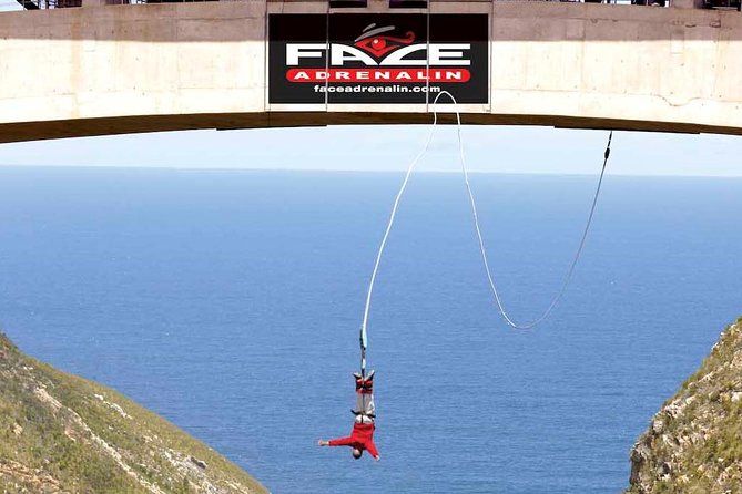 3 Day Big 5 and Bungee Tour - Garden Route Small Group Tour from Cape Town - Key points before you go