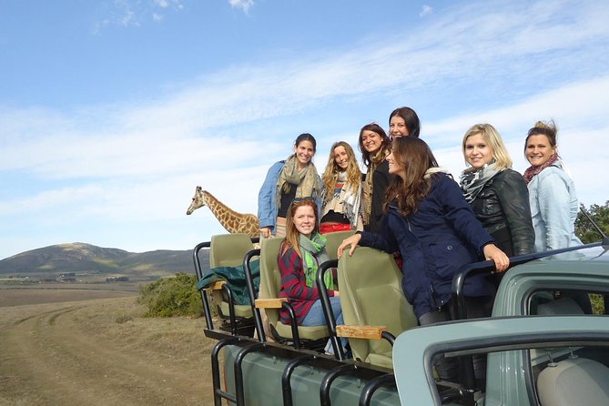 3 Day Big 5 and Bungee Tour - Garden Route Small Group Tour from Cape Town - Garden Route, Big Five safari, and caves in one tight weekend
