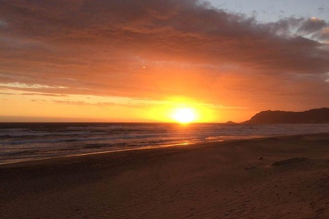 3 Day Big 5 and Bungee Tour - Garden Route Small Group Tour from Cape Town - Guides make or break the experience, and Cape Xtreme has strong favorites