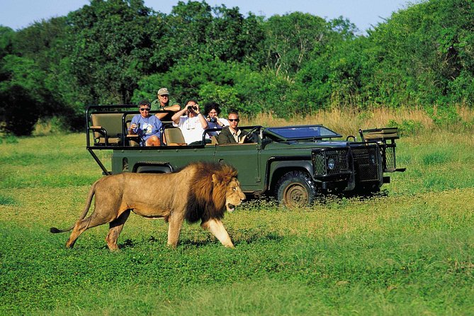 3 Day Big 5 and Bungee Tour - Garden Route Small Group Tour from Cape Town - Price and what you actually get for it