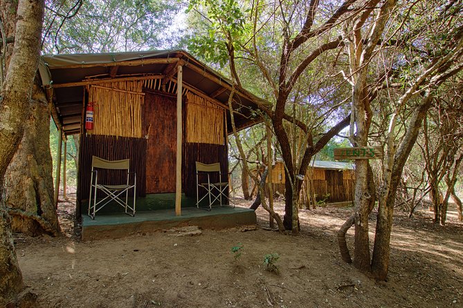 3 Day Budget Tent Kruger National Park Safari - The Johannesburg Pickup and the First Evening at Tremisana
