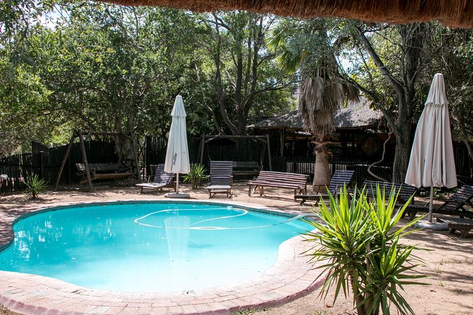 3 Day Budget Tent Kruger National Park Safari - Day 2 in Kruger: Orpen for Full-Day Game Viewing