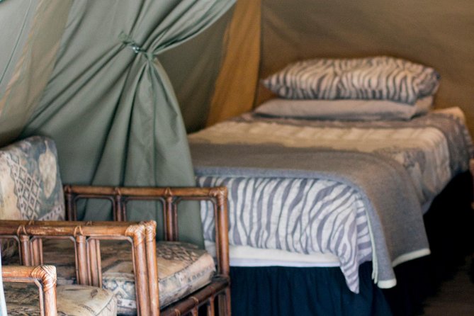 3 Day Budget Tent Kruger National Park Safari - Guides and Group Size: The Difference Between Doing Kruger and Knowing Kruger