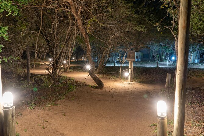 3 Day Dumela Tented Camp at Kruger National Park - Day 2 Orpen-Satara game drive: the long day that focuses on lions