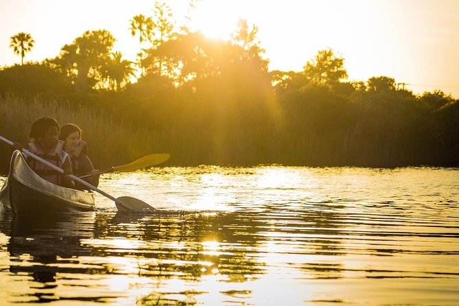 3 Day Garden Route Highlights and Safari with Private Transfers - Private transfers and a 3-day hit list that actually works