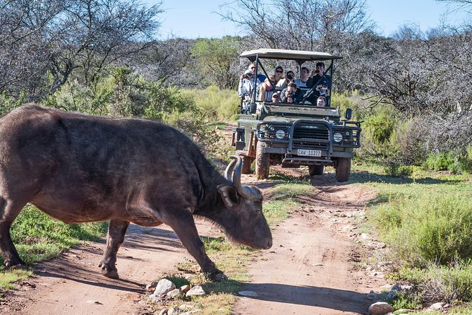 3 Day Garden Route Highlights and Safari with Private Transfers - What is the real value of this price?