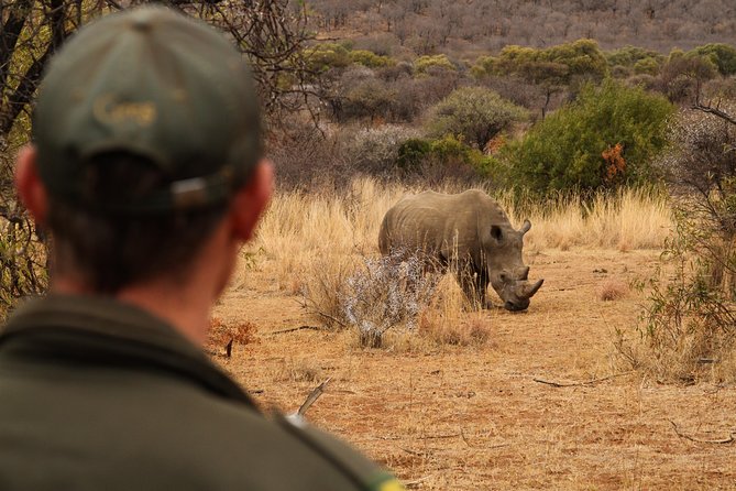 3 Day Garden Route Highlights and Safari with Private Transfers - Pace, flexibility, and who this trip suits best