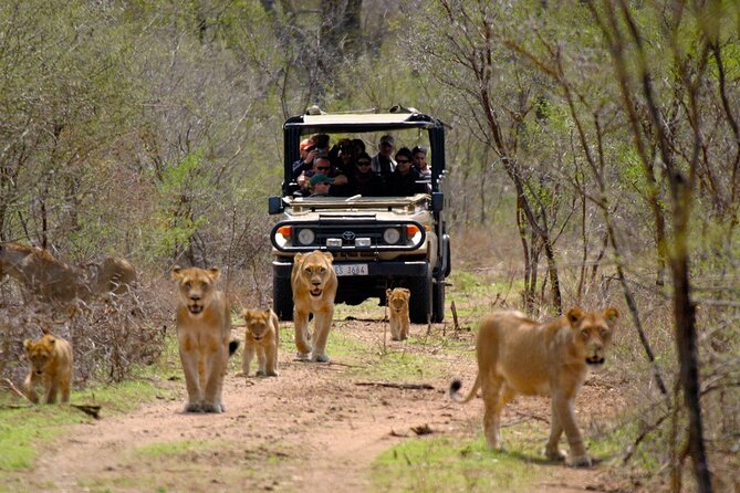 3 Day Garden Route Private Tour - Key highlights at a glance