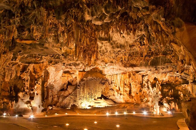 3 Day Garden Route Private Tour - Day 3: Nature’s Valley, Birds of Eden, Tsitsikamma, Tenikwa, and the Plettenberg Bay finish