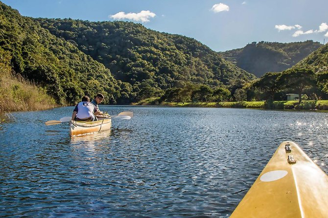 3 Day Garden Route's Best Highlights with Safari from Cape Town - Day 3 safari at Botlierskop: your final Big Five style hunt