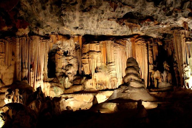 3 Day Garden Route's Best Highlights with Safari from Cape Town - Oudtshoorn to the Garden Route coast: the rhythm shifts on Day 2
