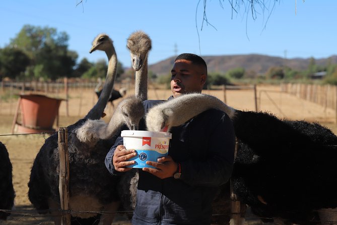 3 Day Garden Route Tour - Food, comfort, and the small practical rules that matter